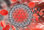 HCV transmission knowledge varies among opioid-dependent pregnant patients HCV transmission knowledge varies among opioid-dependent pregnant patients