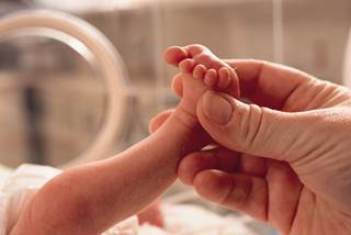 Resiliency factors did not have a significant impact on internalizing scores in participants with extremely low birth weight. Resiliency factors did not have a significant impact on internalizing scores in participants with extremely low birth weight.