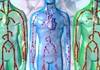 Managing systolic heart failure Managing systolic heart failure