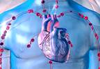 Spironolactone Has No Effect on LVM in Hemodialysis Patients Spironolactone Has No Effect on LVM in Hemodialysis Patients