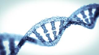 CRISPR-Cas9 repaired the segment of DNA in a human embryo that causes hypertrophic cardiomyopathy. CRISPR-Cas9 repaired the segment of DNA in a human embryo that causes hypertrophic cardiomyopathy.