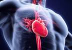 USPSTF Finds Insufficient Evidence for Nontraditional Factors in Assessing CVD Risk USPSTF Finds Insufficient Evidence for Nontraditional Factors in Assessing CVD Risk