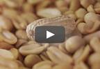 FDA approves labeling change for peanut allergies FDA approves labeling change for peanut allergies