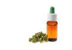 Cannabinoids May Decrease Seizure Frequency in Refractory Epilepsy Cannabinoids May Decrease Seizure Frequency in Refractory Epilepsy