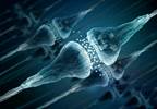 Some Anticholinergic Drugs May Be Linked to Dementia Some Anticholinergic Drugs May Be Linked to Dementia