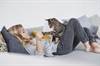 Cat Scratch Disease in a Young Girl Cat Scratch Disease in a Young Girl