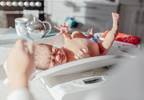 Maternal Glucose, Fetal Genotype Independently Affect Birth Weight Maternal Glucose, Fetal Genotype Independently Affect Birth Weight