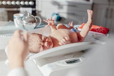 Maternal Glucose, Fetal Genotype Independently Affect Birth Weight Maternal Glucose, Fetal Genotype Independently Affect Birth Weight