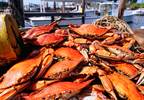 FDA: Illnesses Tied to Fresh Crab Meat Imported From Venezuela FDA: Illnesses Tied to Fresh Crab Meat Imported From Venezuela