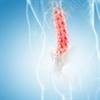FDA to Review Novel Opioid Analgesic for Chronic Low Back Pain FDA to Review Novel Opioid Analgesic for Chronic Low Back Pain