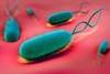 Novel <i>H. pylori</i> Eradication Therapy Effective in Phase 3 Trial Novel <i>H. pylori</i> Eradication Therapy Effective in Phase 3 Trial