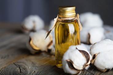 Study Finds Cottonseed Oil Better Than Olive Oil at Improving Cholesterol Profiles, Triglyceride Levels Study Finds Cottonseed Oil Better Than Olive Oil at Improving Cholesterol Profiles, Triglyceride Levels