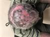 Erythematous, Scaly Scalp Lesions Erythematous, Scaly Scalp Lesions