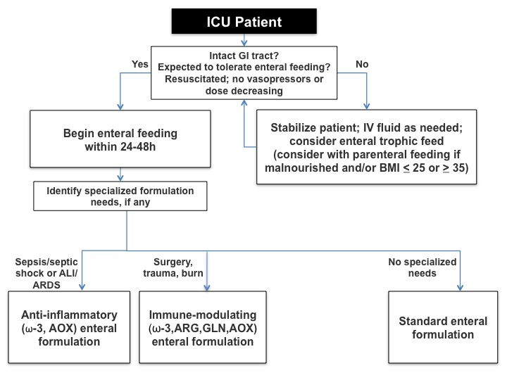 Nutritional Support In The Icu