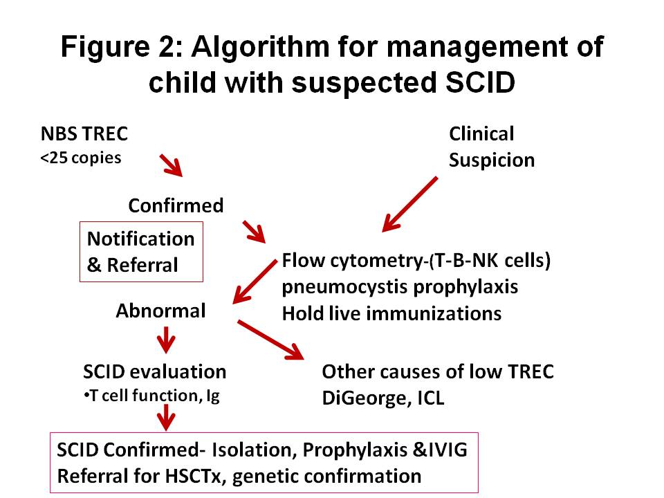 what is scid deficicency