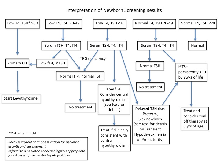 Thyroid screening/hypothyroidism The Clinical Advisor