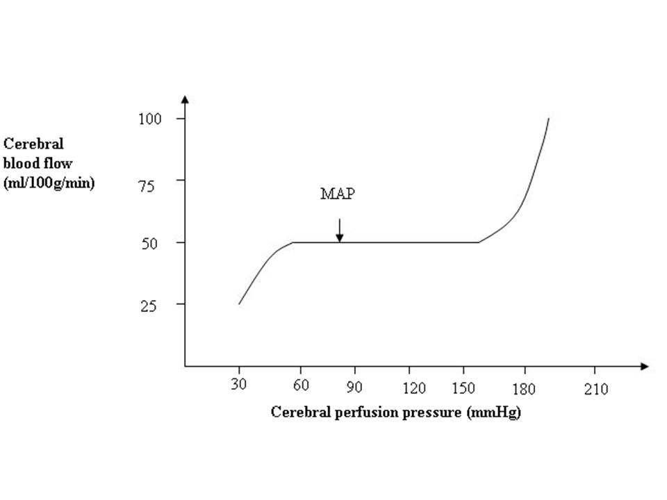 Increased intracranial pressure - The Clinical Advisor