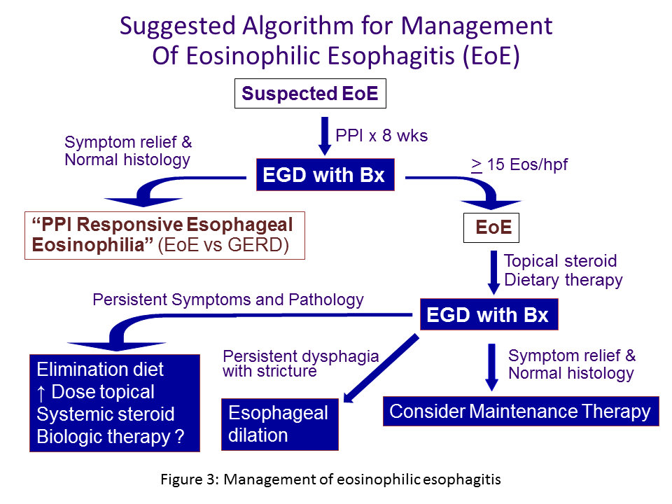 Eosinophilic Esophagitis The Clinical Advisor 5475