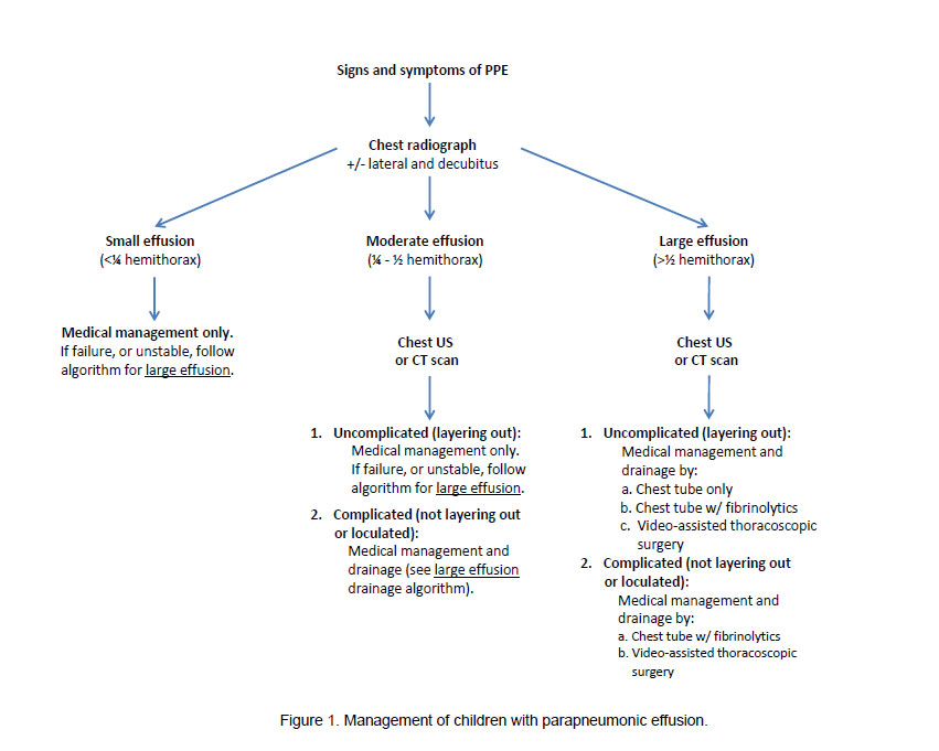 Communityacquired pneumonia The Clinical Advisor