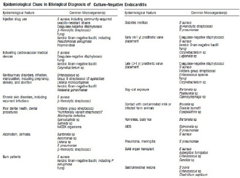 Endocarditis The Clinical Advisor