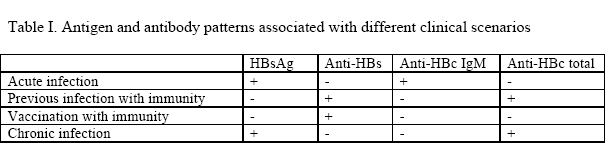 Hepatitis B Core Antibody Test Positive