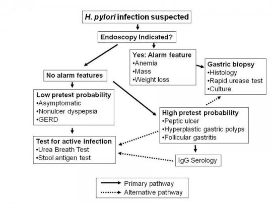 helicobacter-pylori-infection-the-clinical-advisor