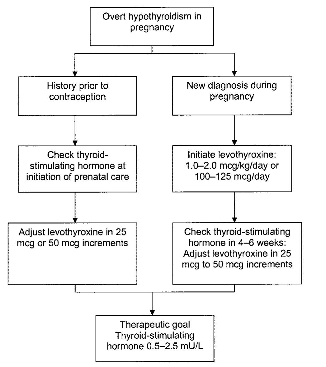 Hypothyroidism In Pregnancy Guidelines