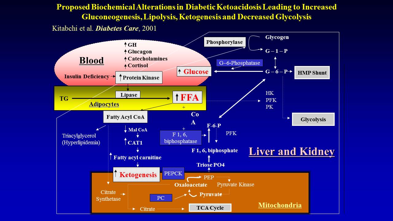 Diabetic Ketoacidosis Dka Symptoms Causes Treatment