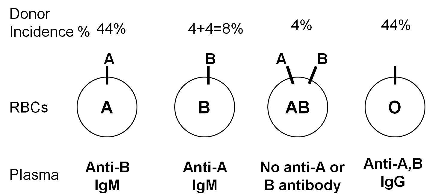 Pediatric Transfusion Management The Clinical Advisor