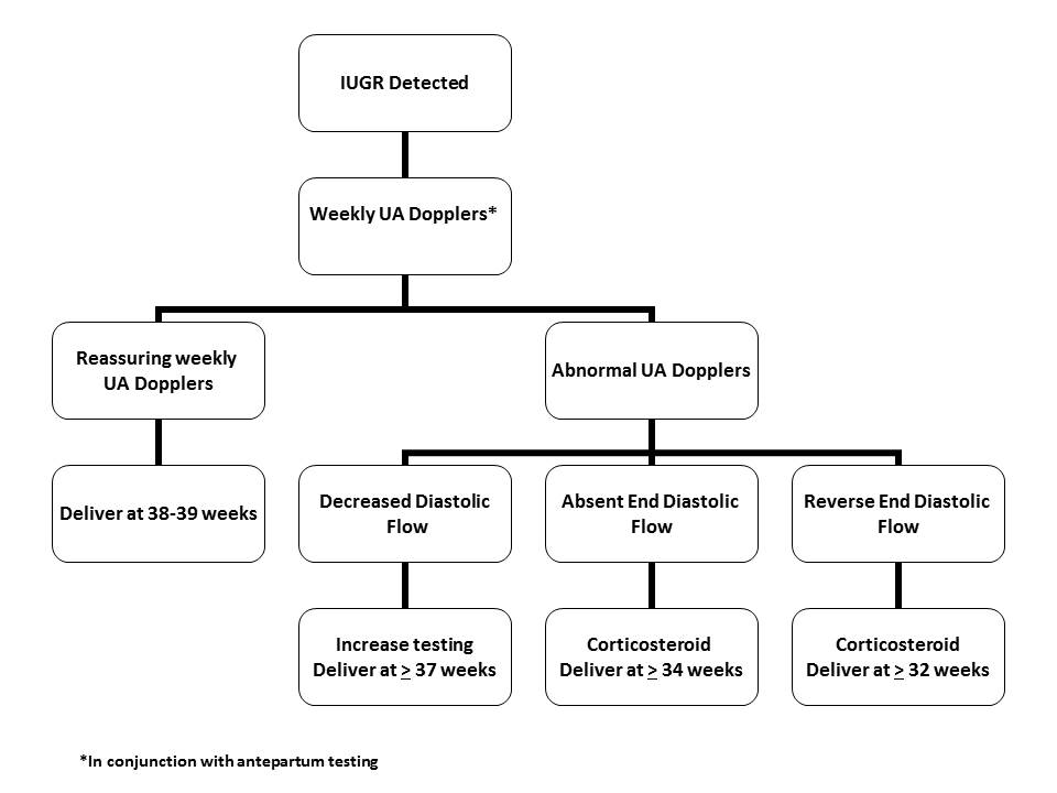 intrauterine-growth-restriction-iugr-the-clinical-advisor