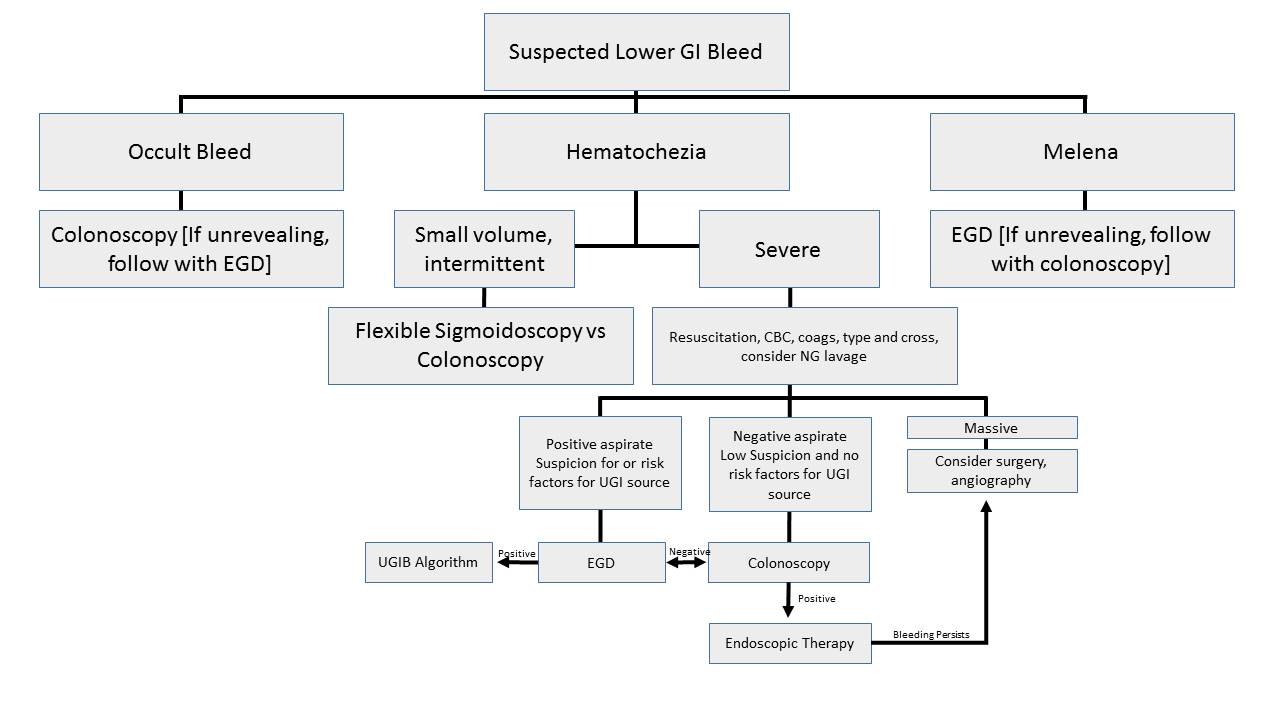 GI Bleeding - The Clinical Advisor